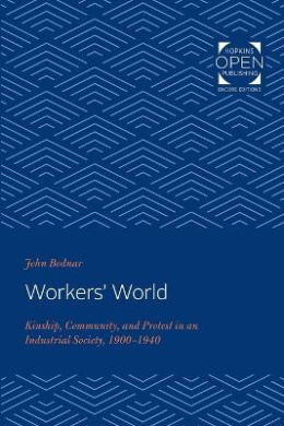 Workers' World: Kinship, Community, and Protest in an Industrial Society, 1900-1940 (Studies in Industry and Society) cover
