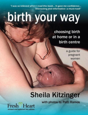 Birth Your Way: Choosing Birth at Home or in a Birth Centre (Fresh Heart Books for Better Birth) cover
