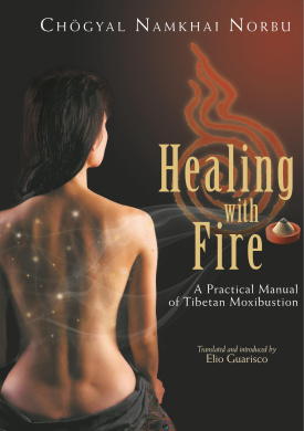 Healing with Fire cover