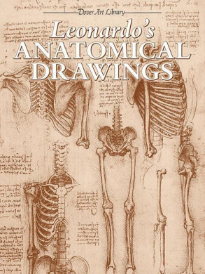 Leonardo's Anatomical Drawings (Dover Fine Art, History of Art) cover