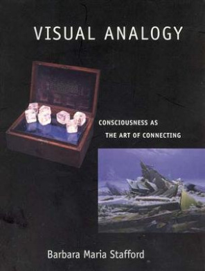 Visual Analogy: Consciousness as the Art of Connecting cover
